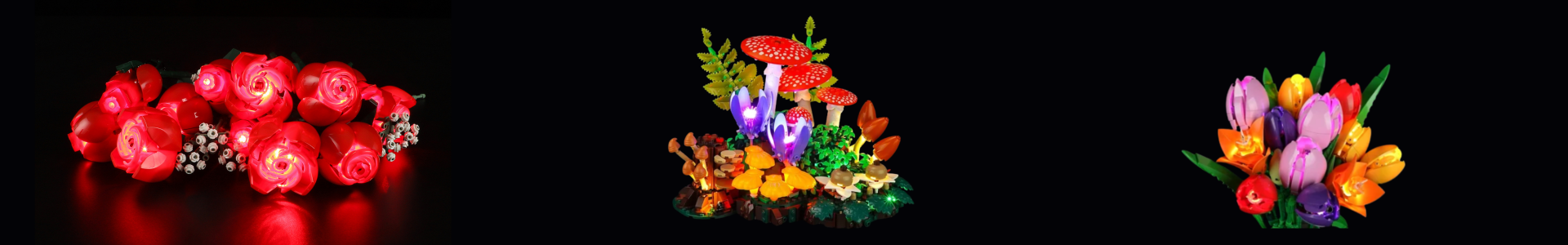 Växter