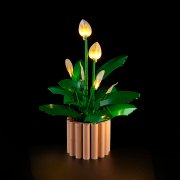 Belysning till Botanicals Fredslilja 11504 LGK819