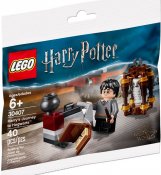 LEGO Harry Potter Harrys Journey to Hogwarts 30407