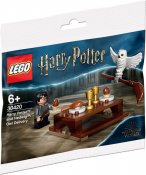 LEGO Harry Potter och Hedwig - Uggleleverans 30420