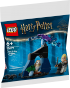LEGO Draco i den förbjudna skogen 30677