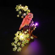 Belysning till Ideas Dvärgpapegojor 21365 LGK822