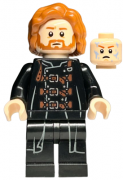 LEGO Harry Potter Dragomir Despard HP447