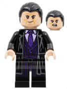 LEGO Super Heroes The Penguin SH0790