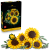 LEGO Botanicals Bukett med solrosor 11502