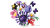 LEGO Botanicals Olivia Rodrigos blombukett 11507