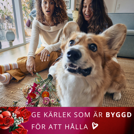 Alla hjärtans dag❤️