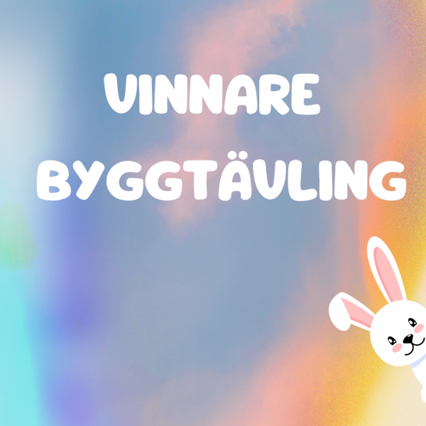 Vinnare byggtävling påsk!