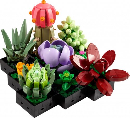 LEGO Botanical Collection Suckulenter 10309
