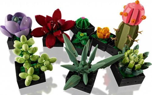 LEGO Botanical Collection Suckulenter 10309