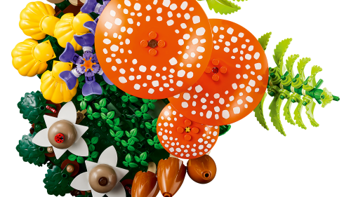 LEGO Botanicals Skogssvampar 11505