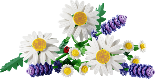 LEGO Botanicals Prästkragar 11508