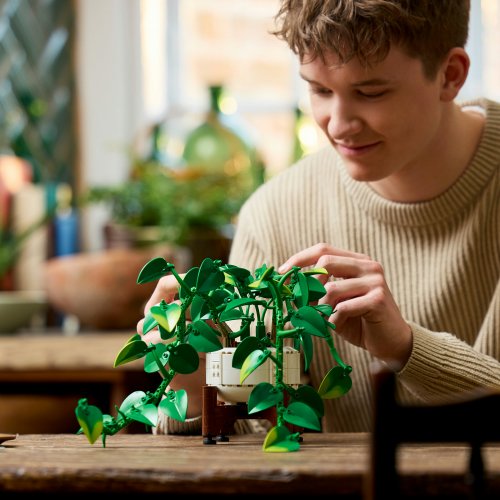 LEGO Botanicals Hängande gullranka 11512