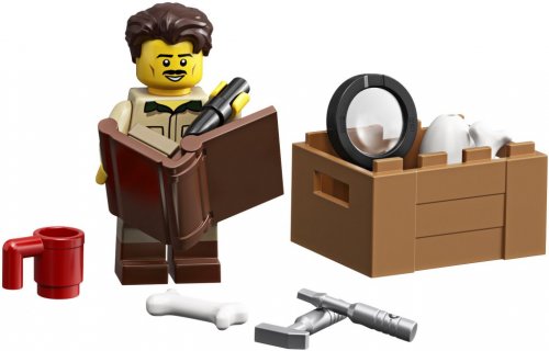 LEGO Ideas Dinosaur Fossils 21320