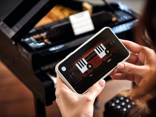 LEGO Ideas Flygel 21323