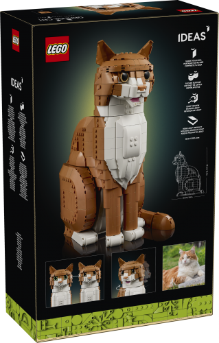 LEGO Ideas Orange katt 21376