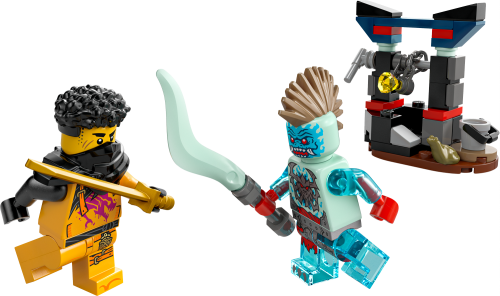 LEGO Ninjago Arins strid mot dragonier 30700