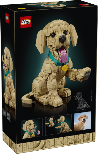 LEGO Icons Golden retriever valp 11384