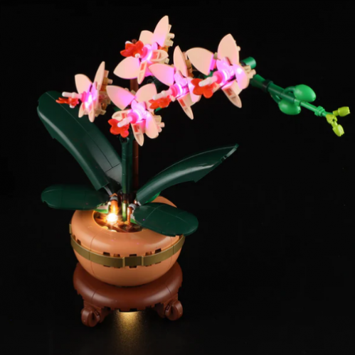 Belysning till Botanicals Miniorkidé 10343 LGK713