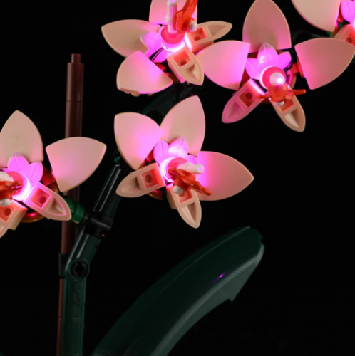 Belysning till Botanicals Miniorkidé 10343 LGK713